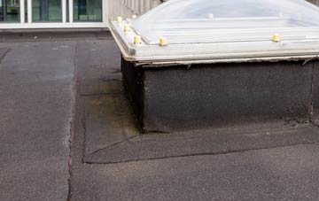 disadvantages of Inchnadamph flat roofs