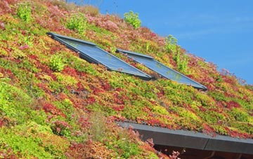Inchnadamph living roof systems
