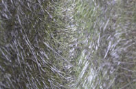 Inchnadamph fibreglass roof work